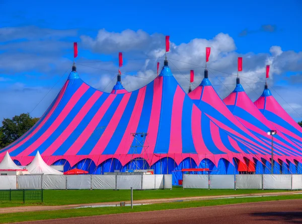 Розовые и синие большие цирковые шатры — стоковое фото