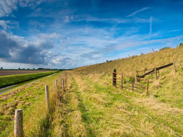 Boerderij trail langs een Nederlandse Dijk — Stockfoto