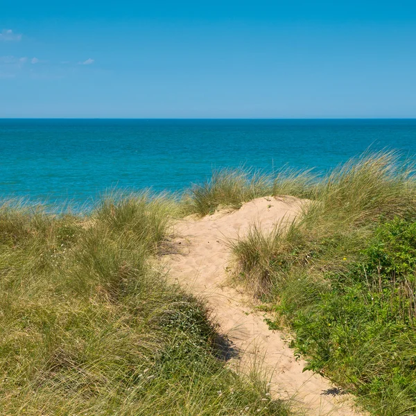 Beach, dune, sea view — Stock Photo, Image