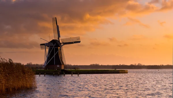 Mulino a vento molen Paesi Bassi — Foto Stock