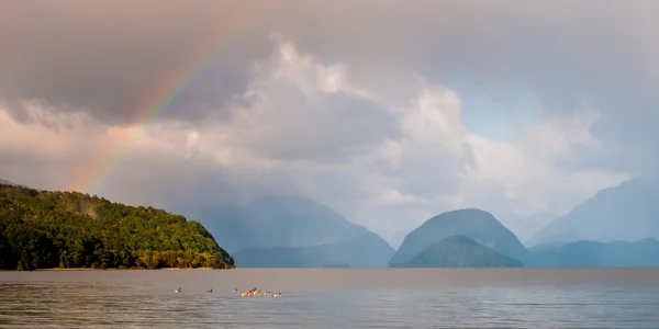 Lago com arco-íris e gansos — Fotografia de Stock