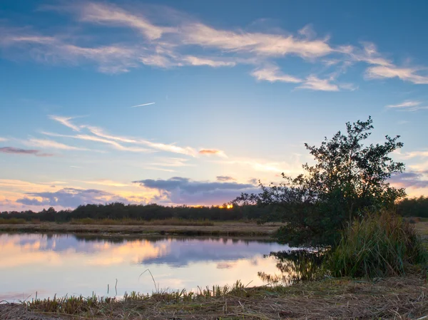 Marsh land Nederland — Stockfoto