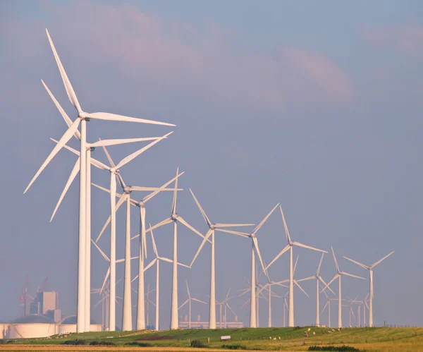 Cumuli di turbine eoliche — Foto Stock