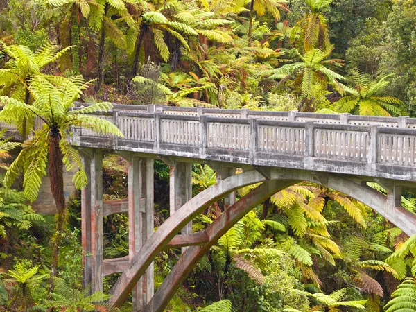 Eenzame jungle brug — Stockfoto