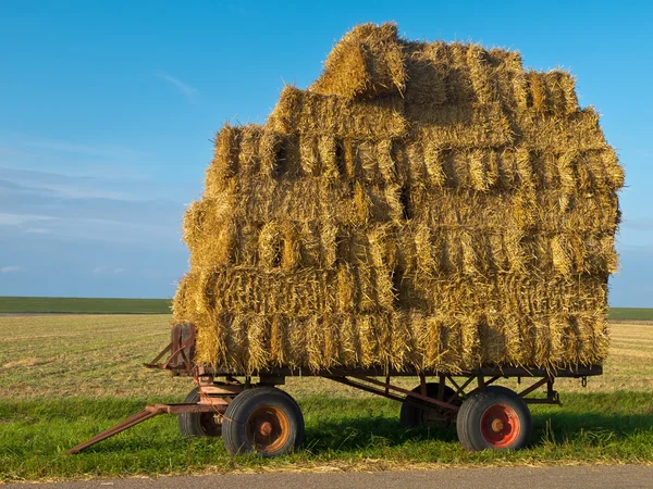 Aanhangwagen met hooi — Stockfoto