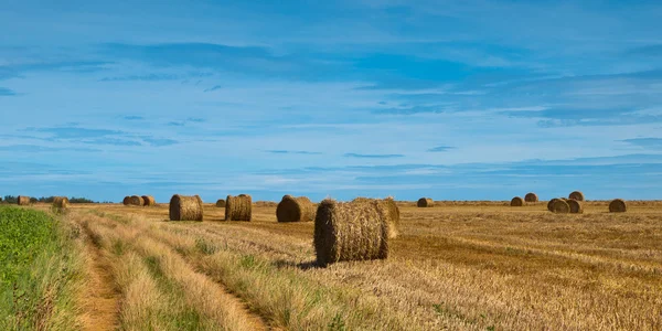 Straw bales trail — Stock Photo, Image