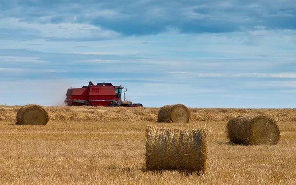 Combine harvesting — Stock Photo, Image