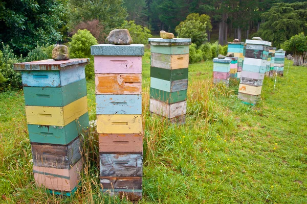 Groupe de ruches d'abeilles multicolores en bois — Photo