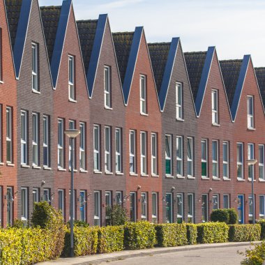 hedgerows Groningen ile bir sokak evleri