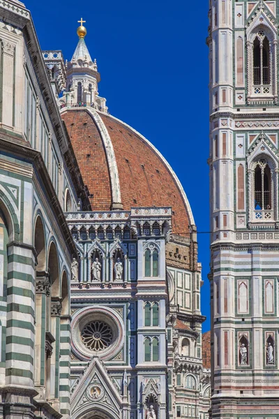Ayrıntılar Katedrali Floransa — Stok fotoğraf