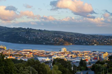 Dunedin city, new zealand, during sunset clipart