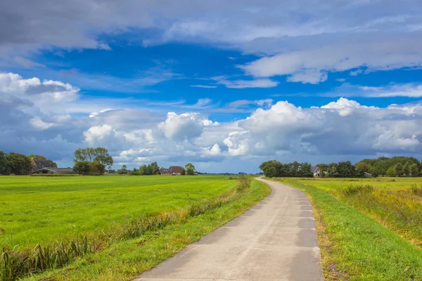 Nederlandse weg door weiden — Stockfoto