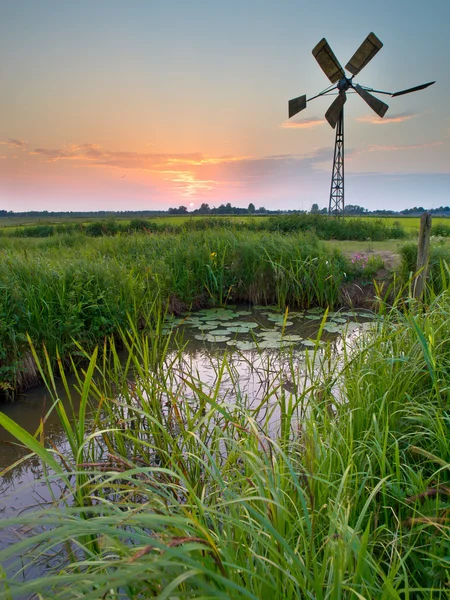 Старая ветряная мельница в сельскохозяйственных районах Нидерландов — стоковое фото