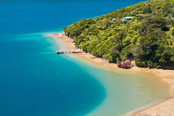 Foresta verde e acqua blu — Foto Stock