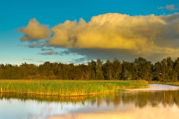 Niederländische Sumpflandschaft — Stockfoto