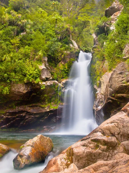 Deštný prales vodopád Nový Zéland — Stock fotografie