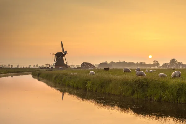 Paisagem Polder holandesa durante o pôr do sol laranja — Fotografia de Stock