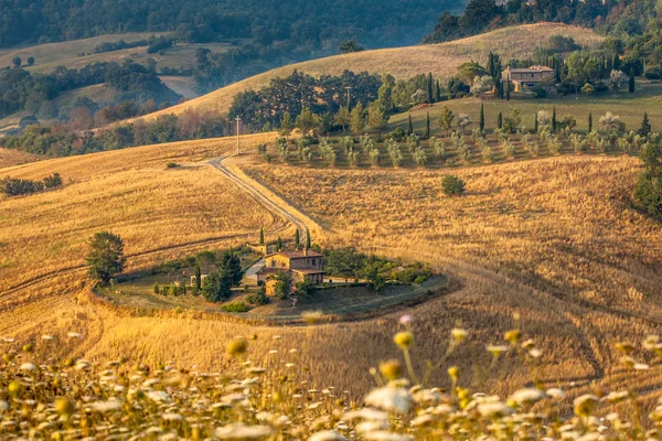 Tuscan Farm Countryside Scenery — Stock Photo, Image