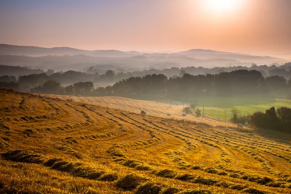 Campagne toscane à l'aube avec brume — Photo