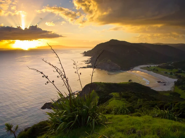 Nascer do sol pacífico — Fotografia de Stock