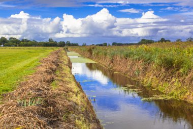 Agricultural Landscape with Recently Dredged Ditch In Friesland, clipart