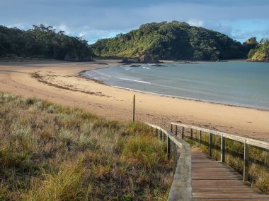 Bozulmamış Beach Matapouri Bay, Yeni Zelanda
