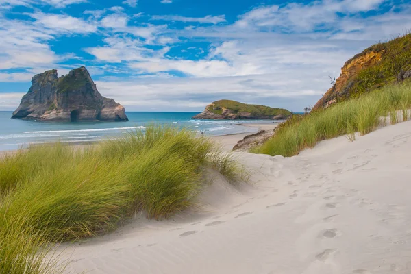 Ünlü Wharariki Beach, Güney Adası, yeni müzik, kumul bitki örtüsü — Stok fotoğraf