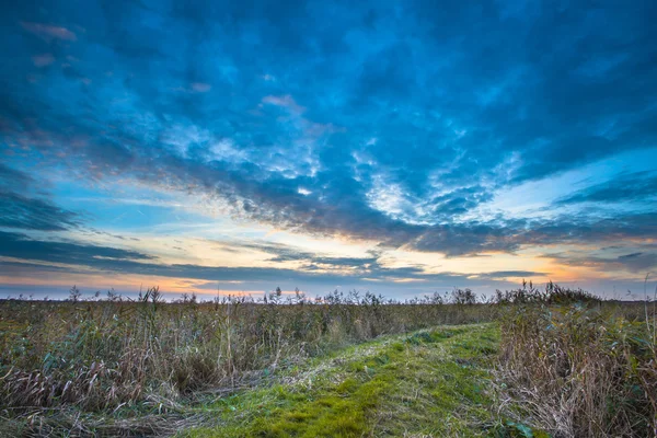 Path through Wild Countryside — Stock Photo, Image