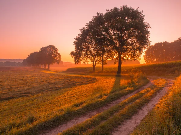 Oranje en roze zonsopgang boven rurale landschap in de buurt van Nijmegen — Stockfoto