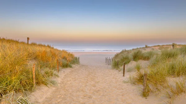 Landscape View Sand Dune North Sea Coast Sunset Wijk Aan — Stock Photo, Image