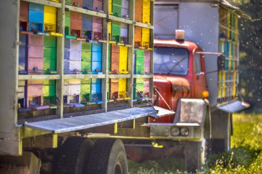 Güneşli bir günde renkli panelleri olan kamyonda taşınabilir arı kovanı