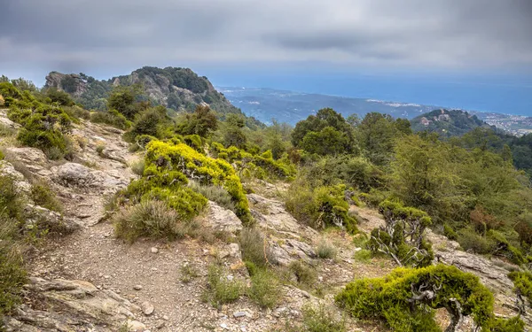 Mountain Area San Giovanni Moriani View Coast Mediterranean Sea Island — Stock Photo, Image