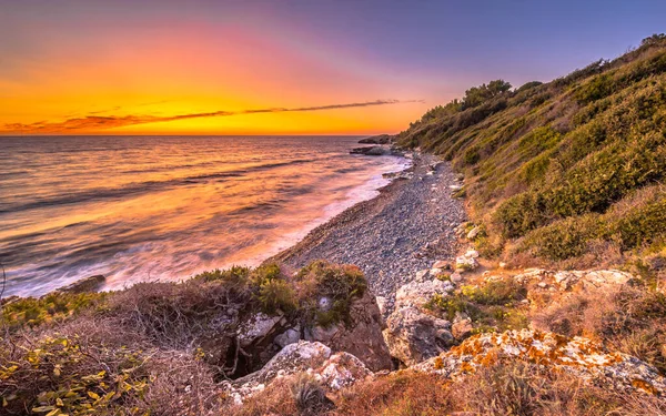 Cap Corse, Corsica, Fransa 'nın kayalık kıyı şeridinde kıyı bitkisi ve renkli gün batımı