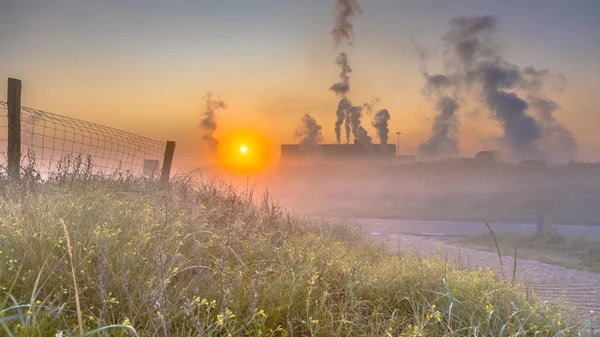 Colorful Dune Vegetation Rising Early Morning Sun Industrial Landscape Wijk — Stock Photo, Image