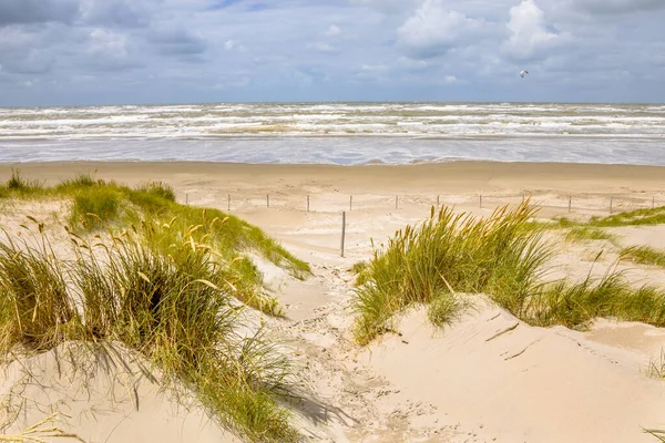 Landschapszicht Zandduin Aan Noordzeekust Bij Wijk Aan Zee Provincie Noord — Stockfoto