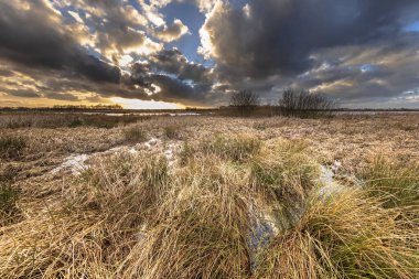 Ocak 'ta Cloudy Sunset' te kış manzarası. Leekstermeer yakınlarındaki Grassy Wetland bölgesi, Groningen Eyaleti, Hollanda.