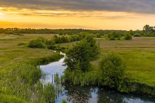 Luftaufnahme Des Grünen Grasland Flusstals Des Westerstroom Creek Benneveld Provinz — Stockfoto