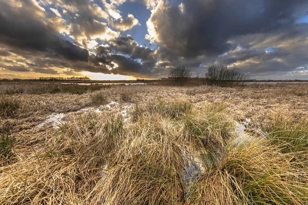 Zimowy Krajobraz Marshland Przy Zachmurzonym Zachodzie Słońca Styczniu Grassy Wetland — Zdjęcie stockowe