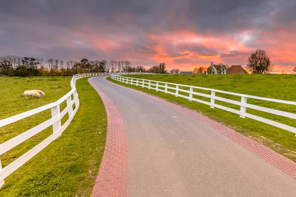 Dutch Countryside Landscape Historical Houses Evening Curved Road White Fence — Stock Photo, Image
