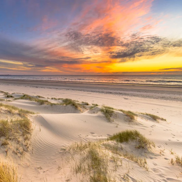 从荷兰Wijk Aan Zee俯瞰北海的海滩和沙丘景观 — 图库照片