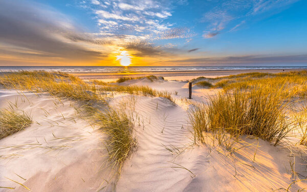 Beach and dunes Dutch coastline landscape seen from Wijk aan Zee over the North Sea at sunset, Netherlands