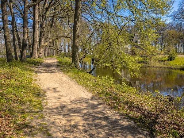 Sendero Para Caminar Parque Con Colores Frescos Temporada Primavera Día —  Fotos de Stock