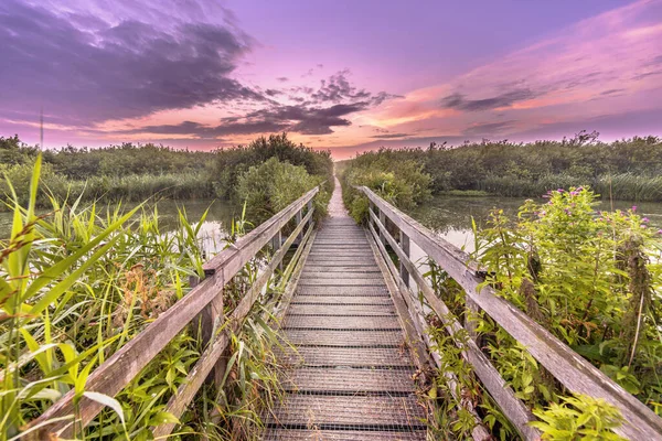 Spectacular Hazy Sunset Wooden Walking Bridge Dunes Zwanenwater Which Nature — Stock Photo, Image