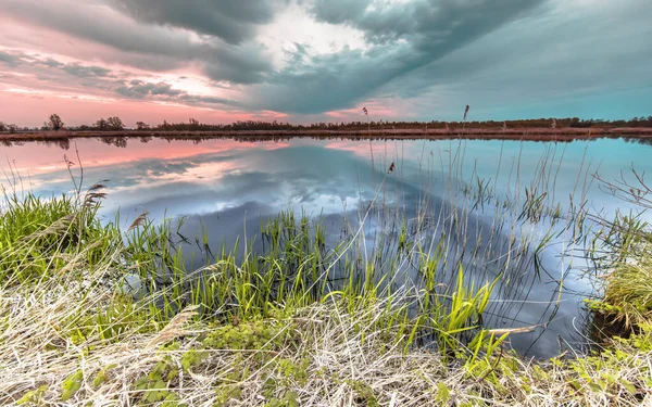 Mokrá Krajina Pastelově Zbarveným Západem Slunce Rákosovou Trávou Odrážející Vodě — Stock fotografie