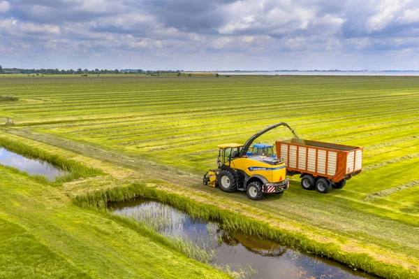 Trator Colheitadeira Pastagens Agrícolas Verdes Frescas Cortadas Sob Céu Nublado — Fotografia de Stock