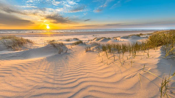 Beach and dunes Dutch coastline landscape seen from Wijk aan Zee over the North Sea at sunset, Netherlands