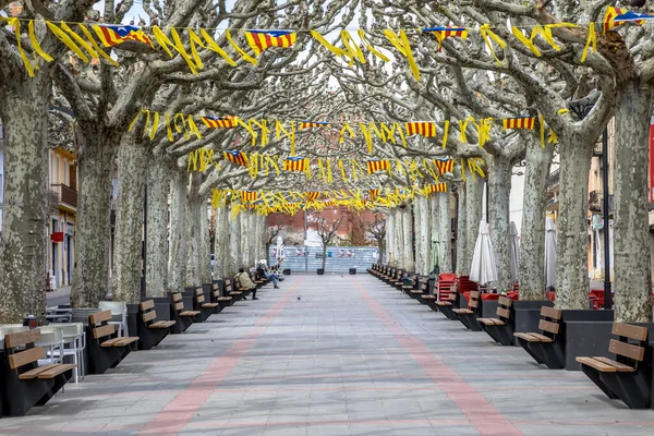 Katalánské Vlajky Hlavní Ulici Rambla Stínem Stromů Městečku Tremp Španělských — Stock fotografie
