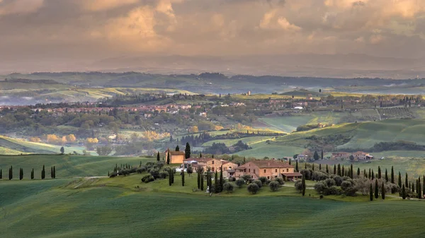 Hilly Countryside Cypress Morning Fog Cloudy Sky Tuscany Italy April — 스톡 사진