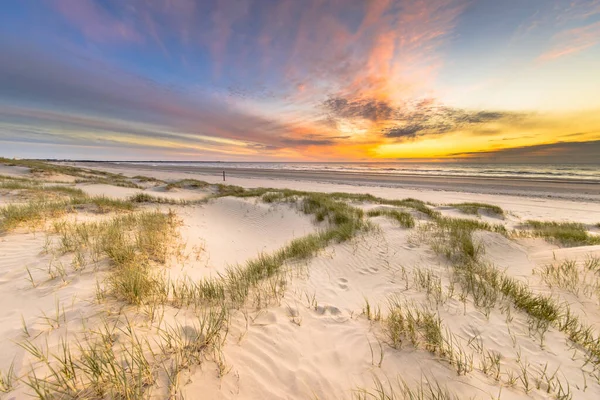 Παραλία Και Αμμόλοφοι Ολλανδική Ακτογραμμή Τοπίο Δει Από Wijk Aan — Φωτογραφία Αρχείου