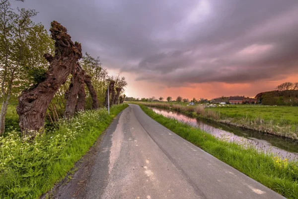 オランダ フローニンゲン州のポルダー地方の風景 日没時にリバー ロード リバーバンク ポラード ウィローズと — ストック写真